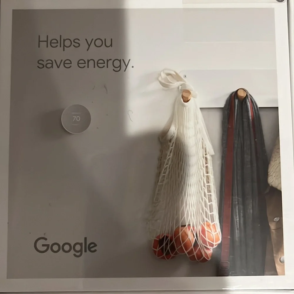 Google Nest Thermostat-color -snow